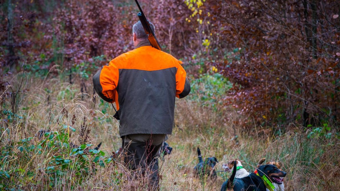 Gilet orange chasse discount obligatoire